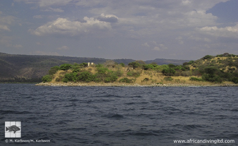 Bomani Point 01